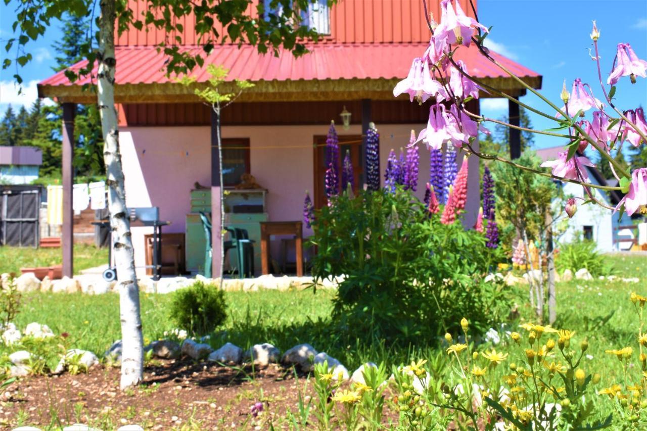 Sepic Accommodation Žabljak Exteriör bild