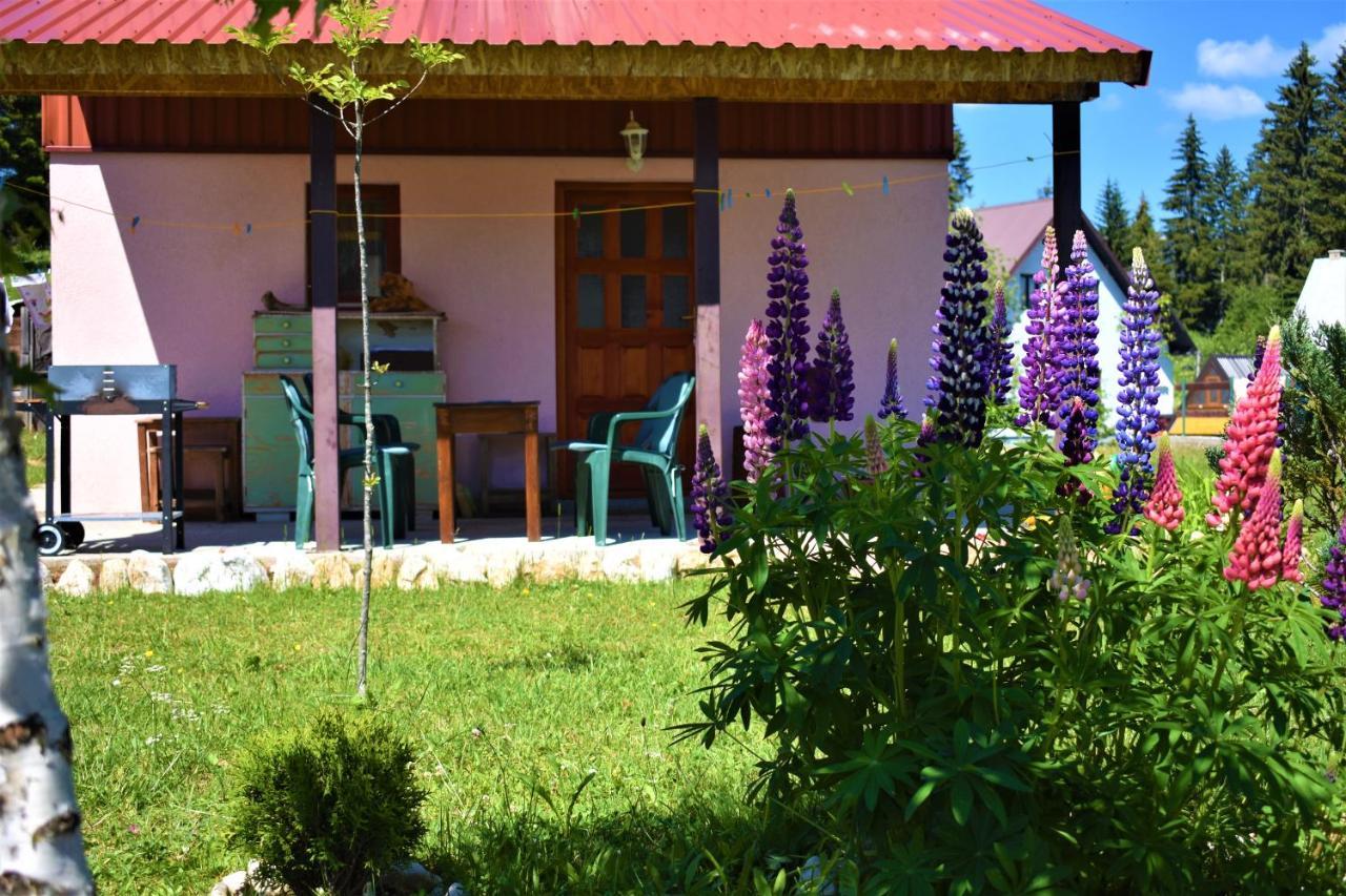 Sepic Accommodation Žabljak Exteriör bild