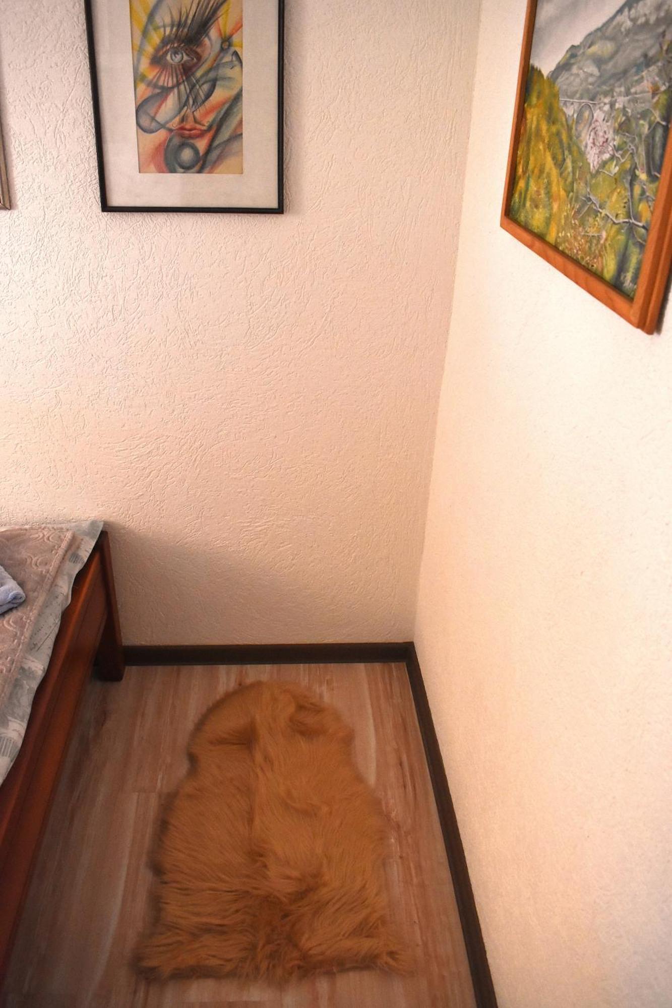 Sepic Accommodation Žabljak Exteriör bild