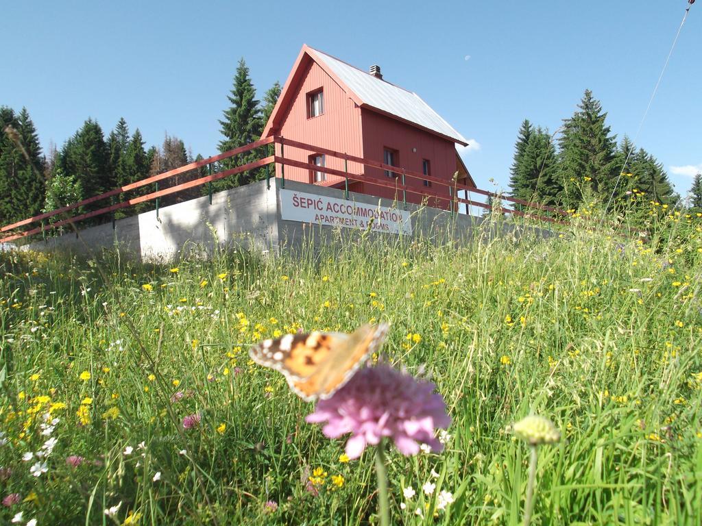 Sepic Accommodation Žabljak Exteriör bild