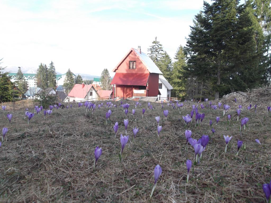 Sepic Accommodation Žabljak Exteriör bild