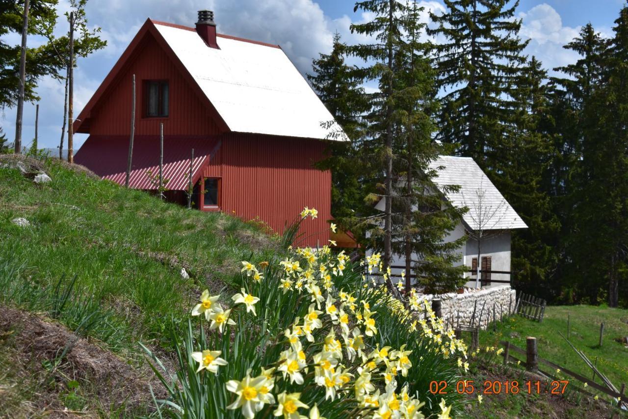 Sepic Accommodation Žabljak Exteriör bild