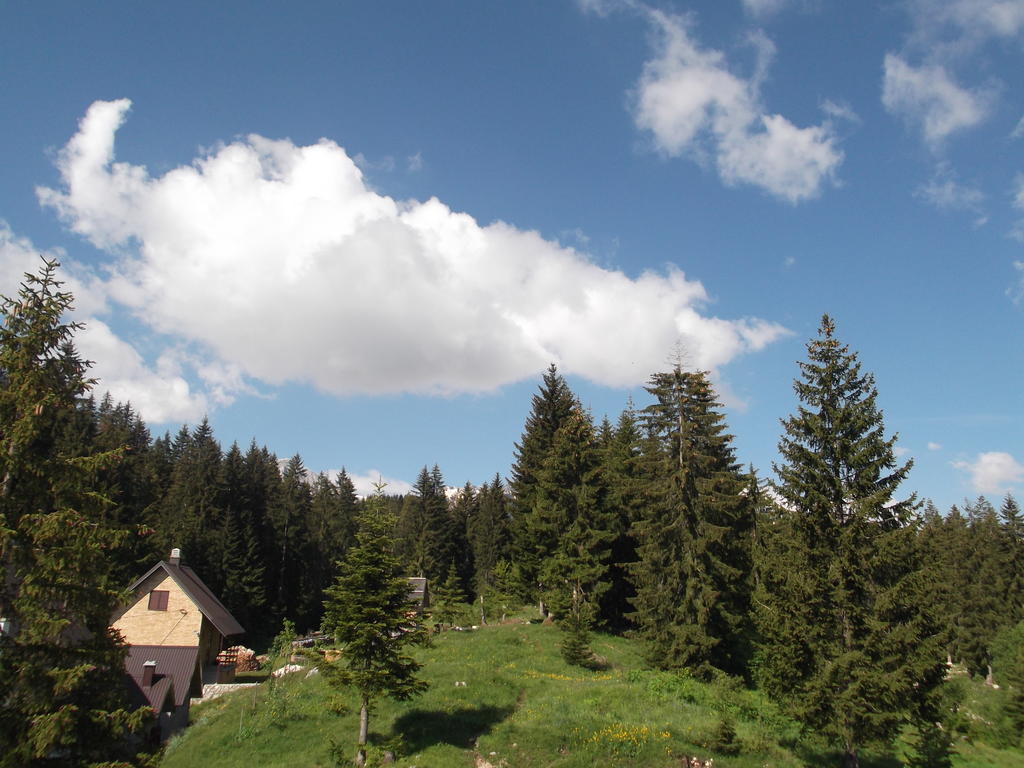 Sepic Accommodation Žabljak Rum bild